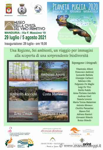 MANDURIA - Sarà inaugurata oggi la rassegna di fotografia naturalistica 'Pianeta Puglia' - ManduriaOggi