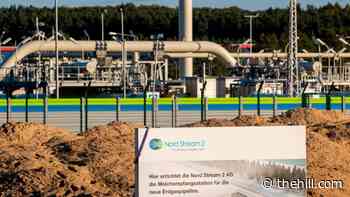 State Department sanctions more Russians over Nord Stream 2