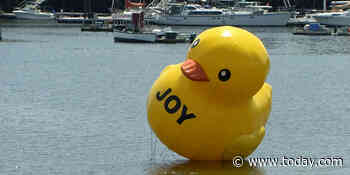 A massive rubber duck appeared in a Maine harbor and no one can quack the case