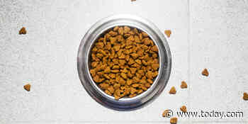 More than 130 dog deaths, 220 illnesses linked to company's contaminated pet food, FDA warns