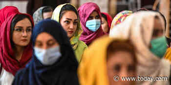 Afghan women and girls are ‘petrified’: How women’s rights organizations are helping