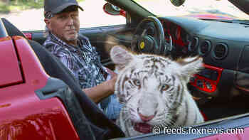 Remaining animals at 'Tiger King' zoo to be turned over to Justice Department