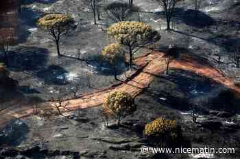 Avec une vue d'hélico, regardez les kilomètres de dévastation laissés par l'incendie dans le massif des Maures