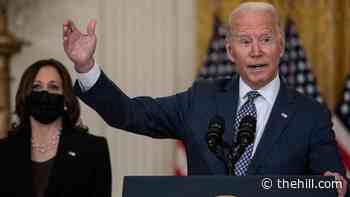 Biden denies allies are questioning US credibility amid Afghanistan withdrawal
