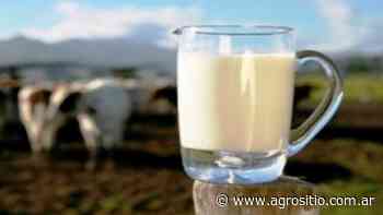Buenos Aires y La Pampa sobresalen en calidad composicional e higiene de la leche - agrositio.com.ar