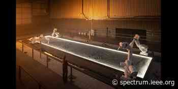 Video Friday: Constant Gardener - IEEE Spectrum