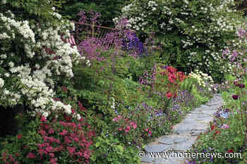 Kachemak Gardener: Plenty of time to harvest in the land of the midnight sun - Homer News