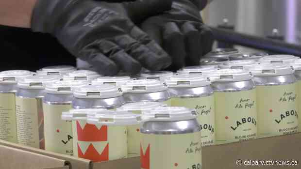 Calgary brewery's initiative helps prevent more than 30,000 beer can holders from landing in landfills