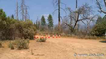Initial autopsy fails to reveal what killed a family and their dog on trail near Yosemite