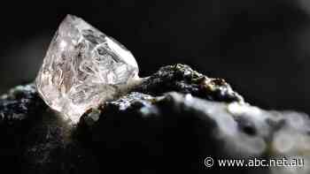 'Deep diamonds' made from dead plants and animals