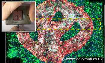 Deadly brain tumor is 3D-PRINTED in a lab for the first time