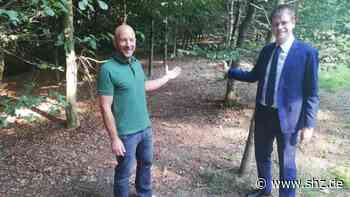 Beratung im Umweltausschuss: CDU möchte den Stadtwald in Tornesch ins Seeumfeld verlagern | shz.de - shz.de