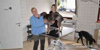 Kreis Euskirchen: Halter forschen in sozialen Netzwerken nach Fluttieren - Kölnische Rundschau