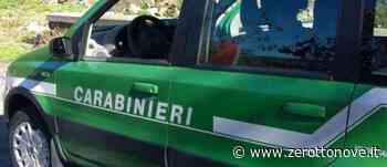 Caggiano, un fermo per incendio boschivo - Zerottonove.it