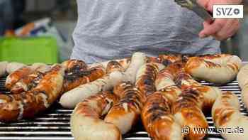 Kreisjugendring Ludwigslust-Parchim: Politiker duellieren sich beim Grillen und stellen sich Fragen von Jugendlichen | svz.de - svz – Schweriner Volkszeitung