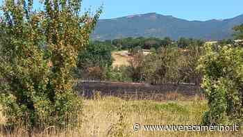 Incendi a Matelica e Cingoli (foto) - Vivere Camerino
