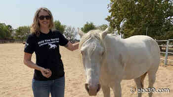 LIVESTOCK FIRE EVACUTATION: East Bay nonprofit on a mission to save livestock from wildfires