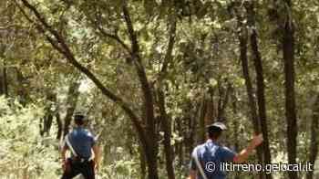 Anziana trovata morta in un campo a Grignano - Il Tirreno