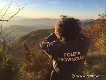 Polizia Provinciale di Prato, Puggelli: "Tutela del territorio sempre al primo posto" - gonews