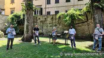 Sul prato della Cavallerizza 15 giorni fra storia e attualità con il Festival sulla contemporaneità - Luccaindiretta - LuccaInDiretta