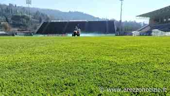 Scarsa irrigazione, chiazze gialle sul prato dello stadio. L'Arezzo corre ai ripari - ArezzoNotizie