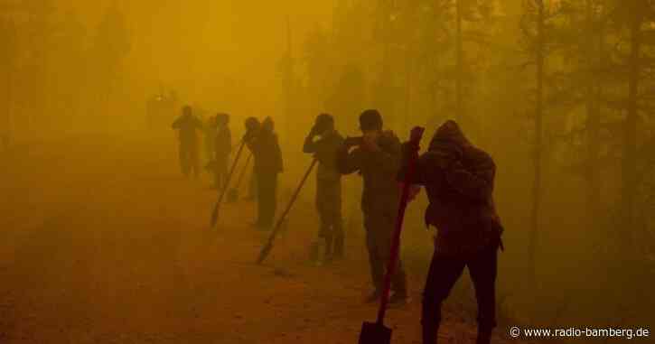 Klimaexpertin: Waldbrände in Russland «sehr beunruhigend»