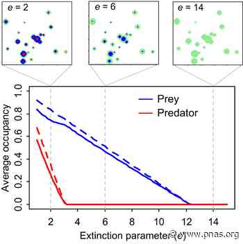 Metapopulation capacity determines food chain length in fragmented landscapes - pnas.org