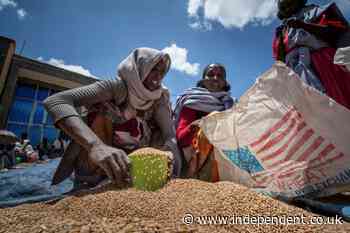 US says food aid runs out this week in Ethiopia's Tigray - The Independent
