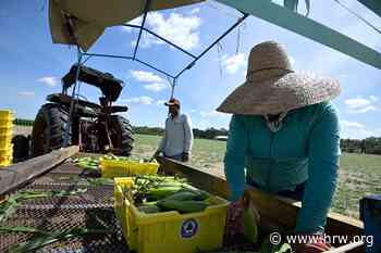 US Bans Toxic Pesticide on Food Crops - Human Rights Watch