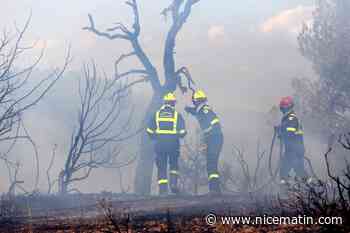 Le feu est fixé mais pas maîtrisé: suivez en direct l'évolution de l'incendie dans le Var