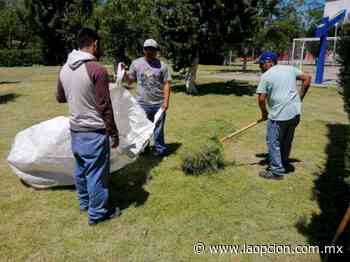 Municipio de delicias realiza limpieza en plazas de la ciudad - La Opcion