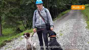 Mit Spürhunden auf Bettwanzen-Suche in der Mindelheimer Hütte - Augsburger Allgemeine