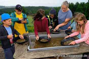 Im vogtländischen Buchwald haben alle etwas auf der Pfanne - Freie Presse