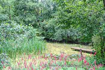 Steinen: Das Paradies macht viel Arbeit - Steinen - www.verlagshaus-jaumann.de