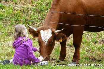 Gemeinsam für den Erhalt der Weiden - Steinen - Badische Zeitung