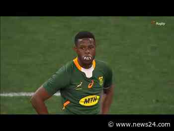 WATCH | Peter de Villiers 'very impressed' by Bok No 8 Jasper Wiese - News24