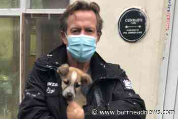 Nowzad campaigner in Afghanistan warns people will be 'left behind' - Barrhead News