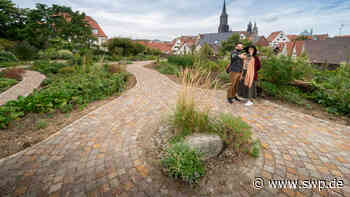 Stadtgarten Ulm: Mit Sanierung der Wilhelmshöhe hofft die Stadt auf mehr soziale Kontrolle: Platz für Pflanzen und Boulespieler - SWP