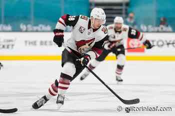 Toronto Maple Leafs: Michael Bunting Will Be the Steal of Free Agency - Editor in Leaf