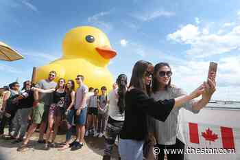 World’s largest rubber duck returns to Toronto — sort of - Toronto Star