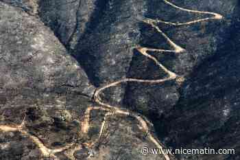 Des incendies du Var au séisme à Haïti: des cartographes répertorient les catastrophes dans le monde