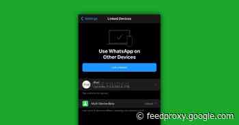 WhatsApp for iPad coming as the company works on multi-device support 2.0