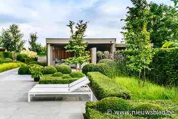 De auto inruilen voor meer tuin: de zomertuin van Annick en Johan in Nazareth - Het Nieuwsblad