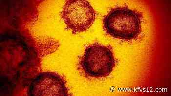 Scott Co. Health Dept. reports 64 new cases of COVID-19 in past 2 days - KFVS