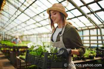 Madison Small Cap: “Scott’s Miracle-Gro (SMG) was Our Worst Performing Stock” - Yahoo Finance