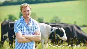 Mayo farmers can have their say on the future of CAP – Dillon - Connaught Telegraph