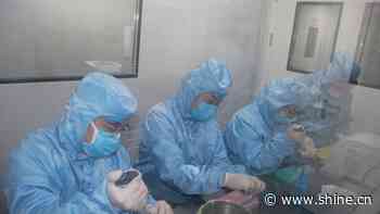 Testing kit quickly distinguishes between coronavirus and flu - SHINE