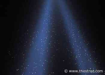 Musical architecture - sound in time and space | Focus - The Strad