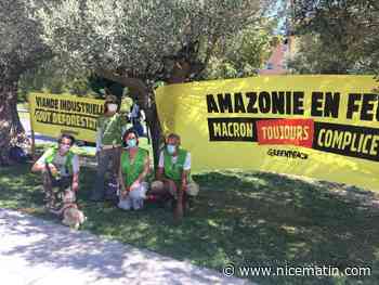 À Nice, Greenpeace veut lutter contre la déforestation