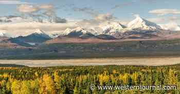 Despite Rising Gas Prices, Obama Judge Crushes Alaska Oil Project Over Polar Bears